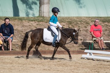 Bild 92 - Pony Akademie Turnier